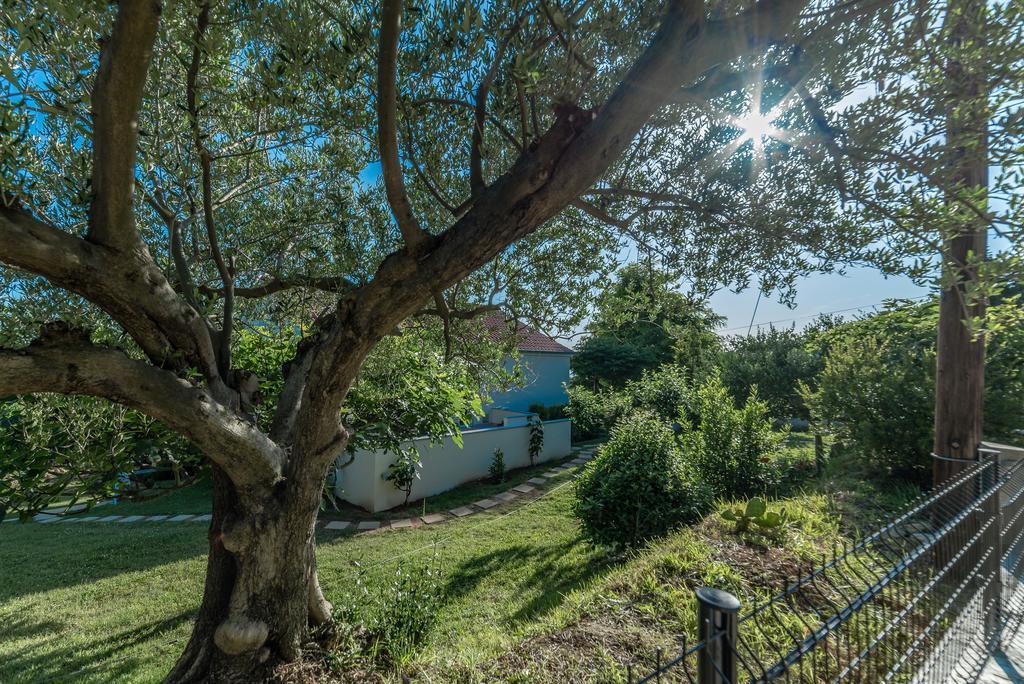 Apartment Robinson Podvrsje Zewnętrze zdjęcie